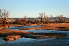 Preview of Beneficial Water Use Permit/Studies