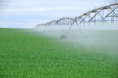 Preview of Agricultural Engineering for Center Pivot Irrigation (Park, Gallatin, Madison County)
