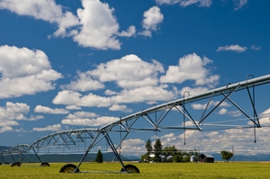 istock_000007079977small