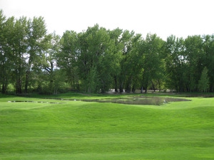 threeforksfloodplainstudy02